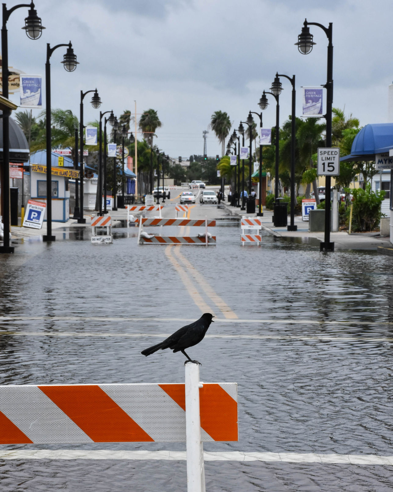 PI1017tsflooding3.jpg